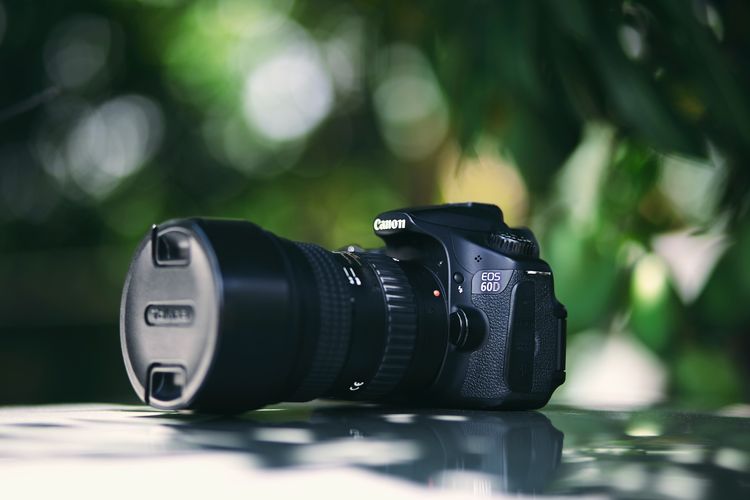 oscar-ivan-esquivel-arteaga-BvS1mXJXzKs-unsplash(1).jpg